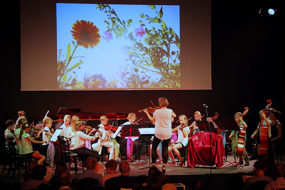Das Streichorchester "Die Streichhölzer" spielen auf einer Bühne, im Hintergrund ein Bild mit Blumen und blauem Himmel.